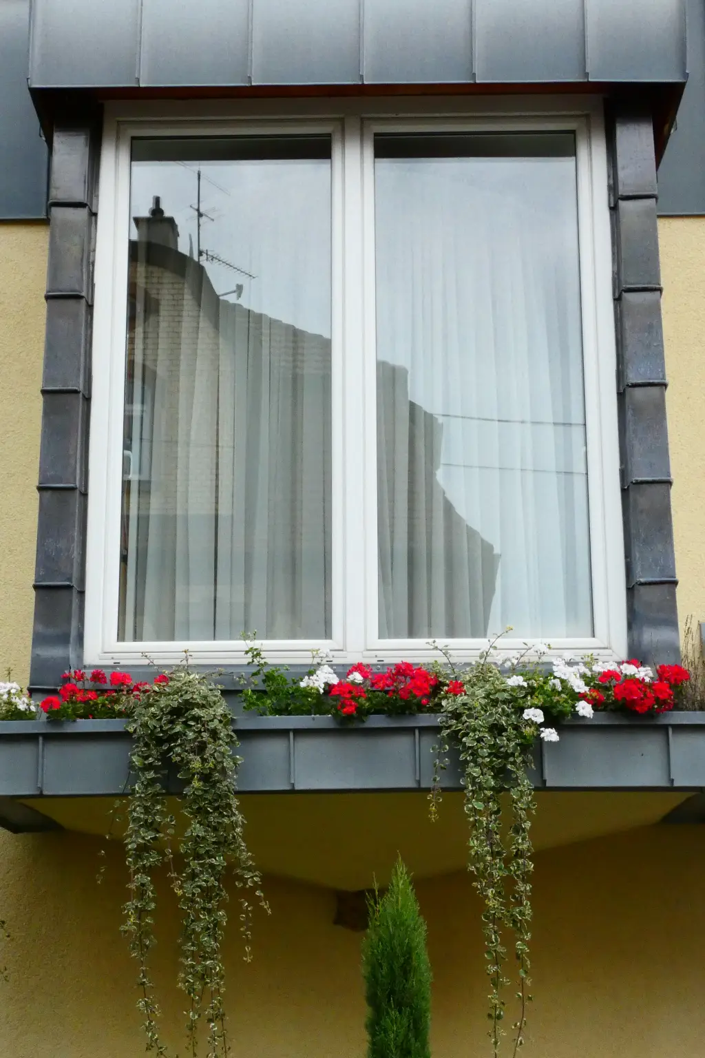 Lutherville Window Replacement