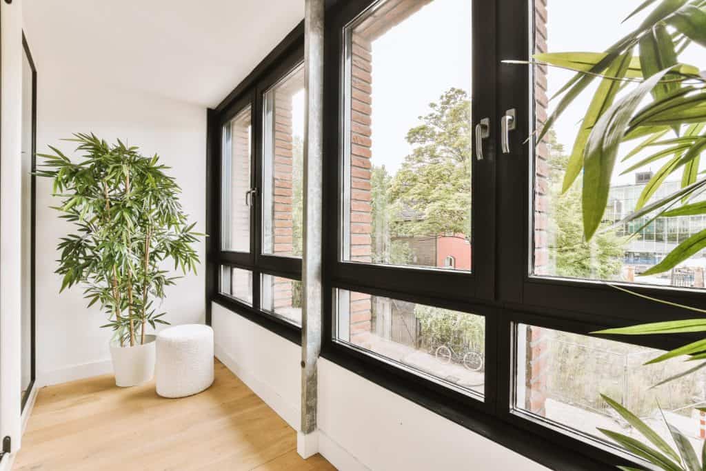 energy efficient windows in Maryland - 32 Bright room with large windows and plants